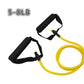 Elastic Rope Fitness Band – Strength Training & Arm Toning Equipment