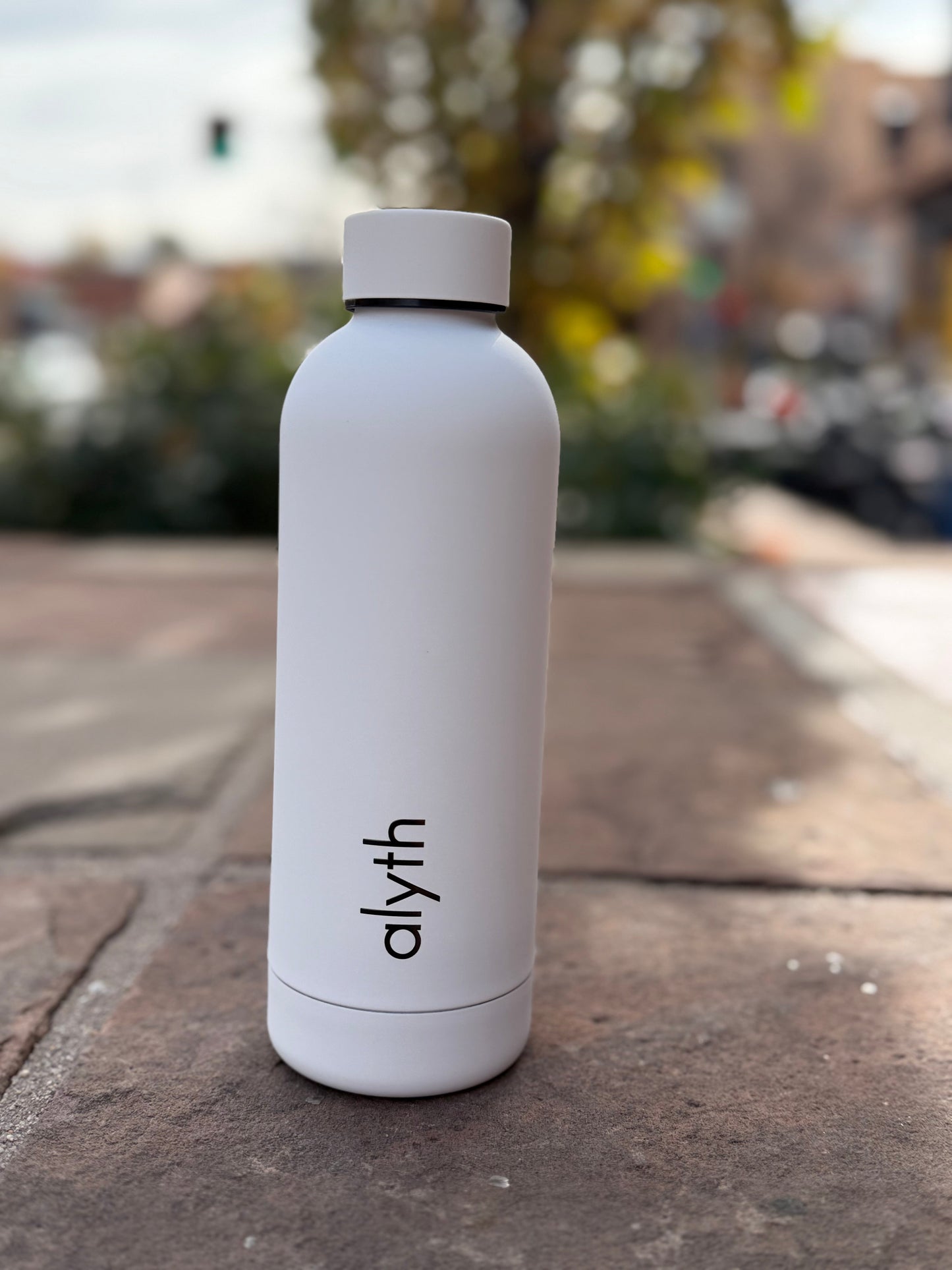 Alyth 16oz Water Bottle – Lightweight Daily Hydration Bottle