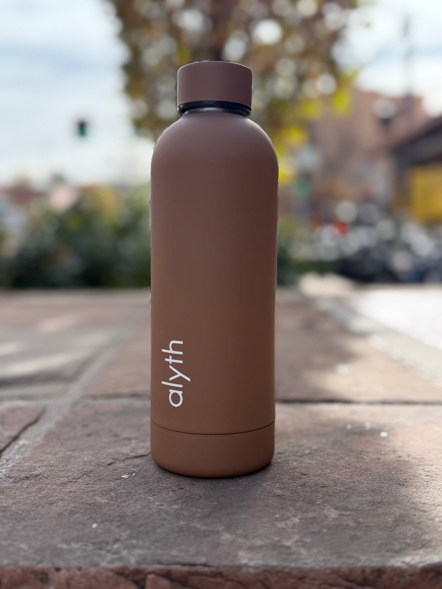 Alyth 16oz Water Bottle – Lightweight Daily Hydration Bottle