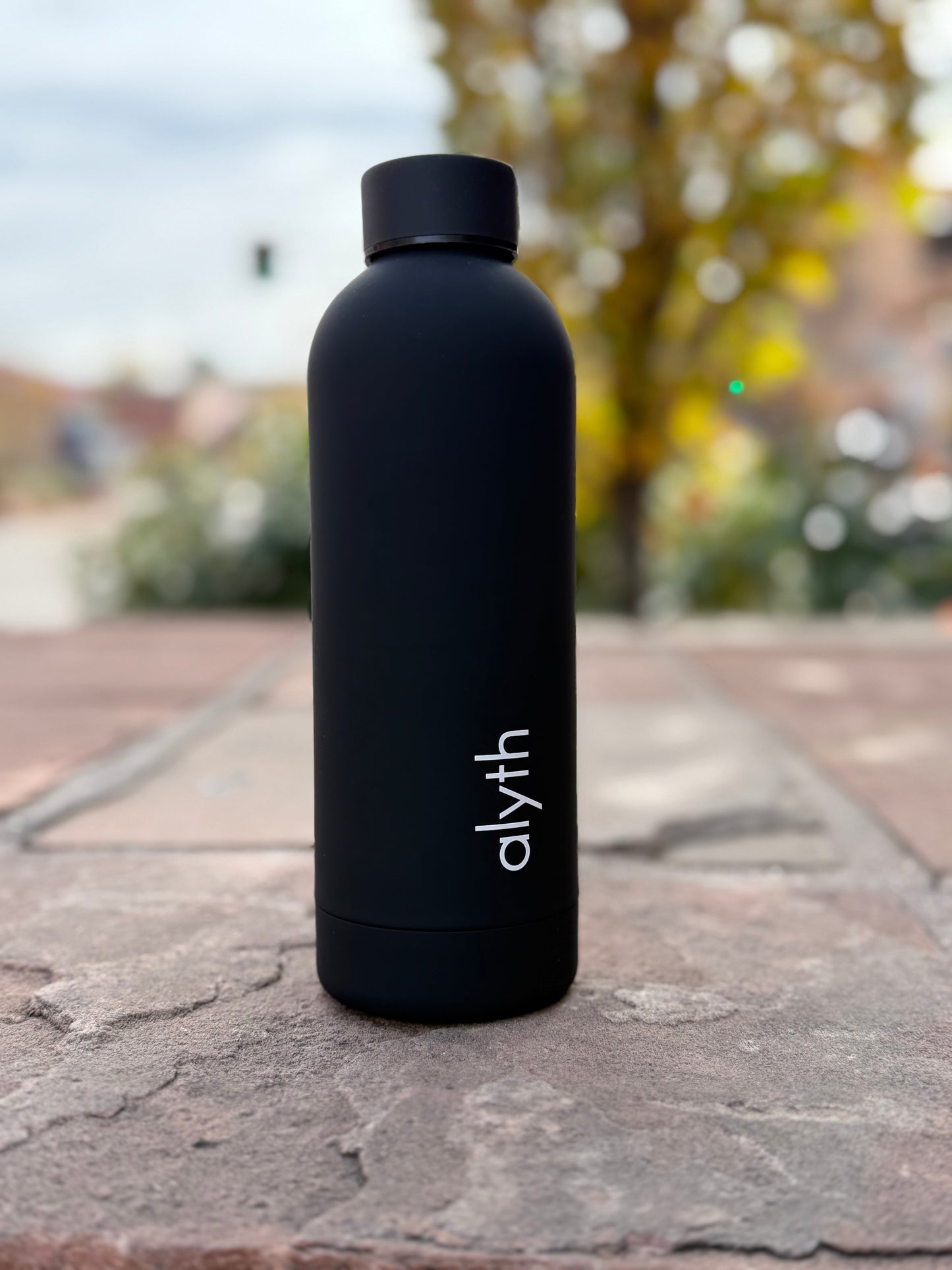 Alyth 16oz Water Bottle – Lightweight Daily Hydration Bottle
