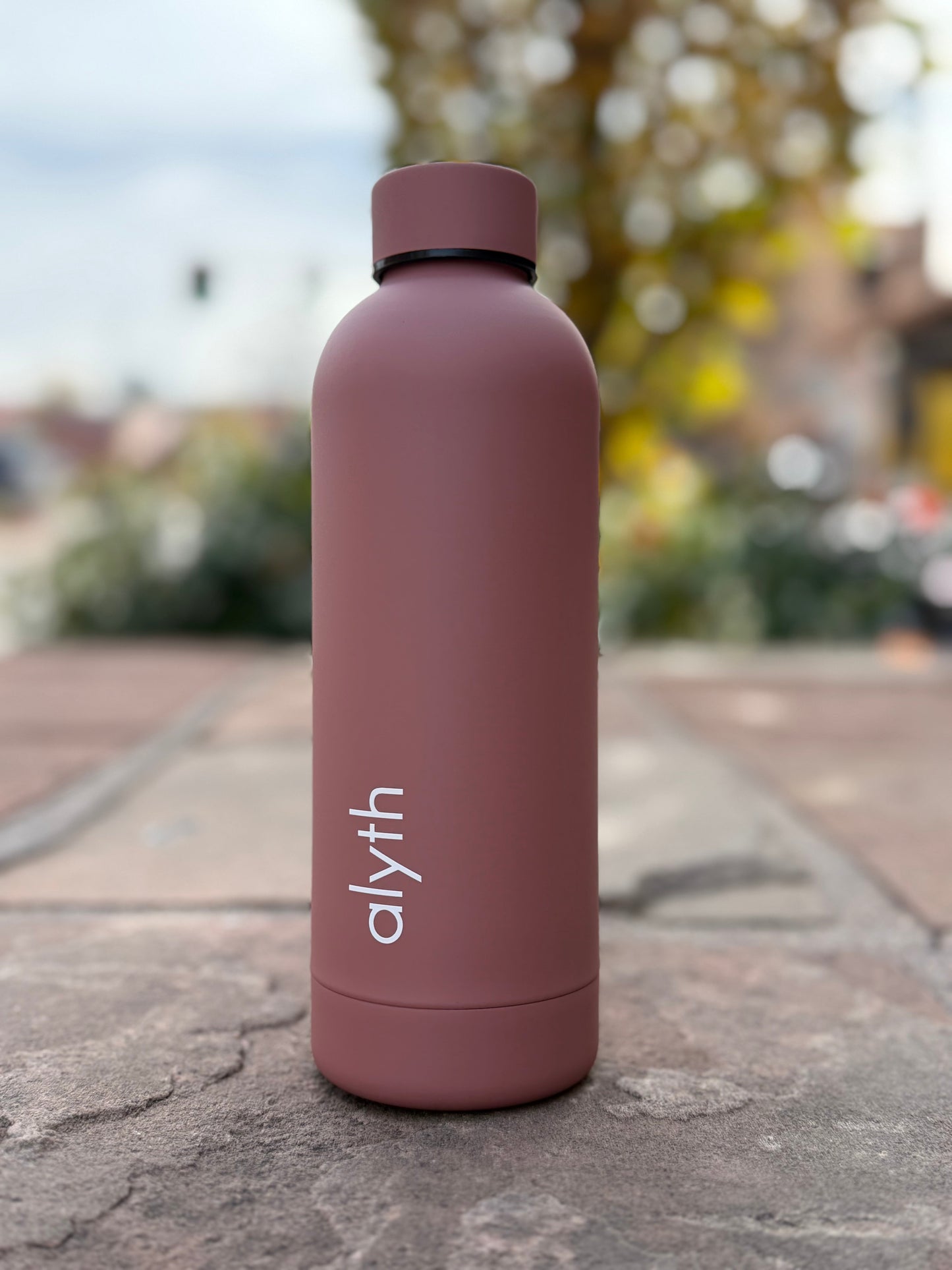 Alyth 16oz Water Bottle – Lightweight Daily Hydration Bottle